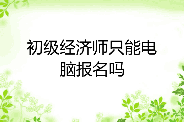 初级经济师只能电脑报名吗
