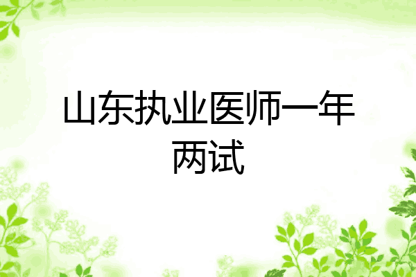 山东执业医师一年两试