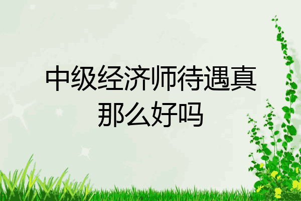中级经济师待遇真那么好吗