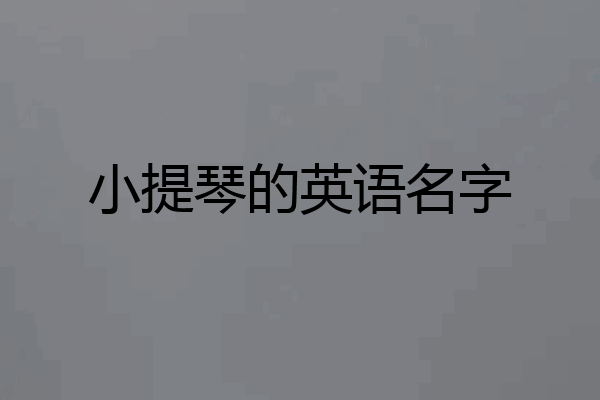 小提琴的英语名字