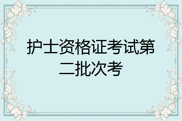护士资格证考试第二批次考