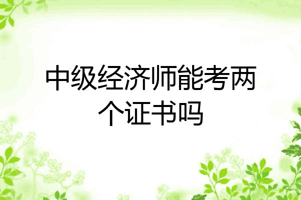 中级经济师能考两个证书吗