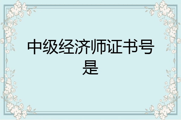 中级经济师证书号是