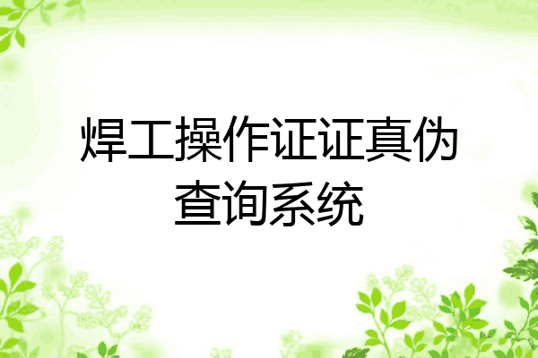 焊工操作证证真伪查询系统