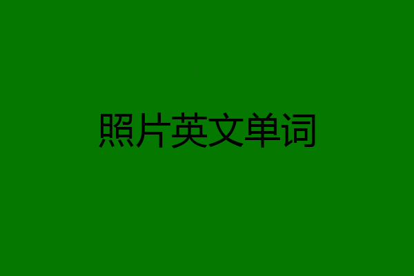 照片英文单词