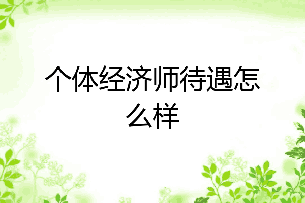 个体经济师待遇怎么样