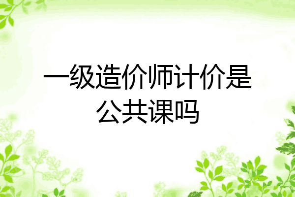 一级造价师计价是公共课吗