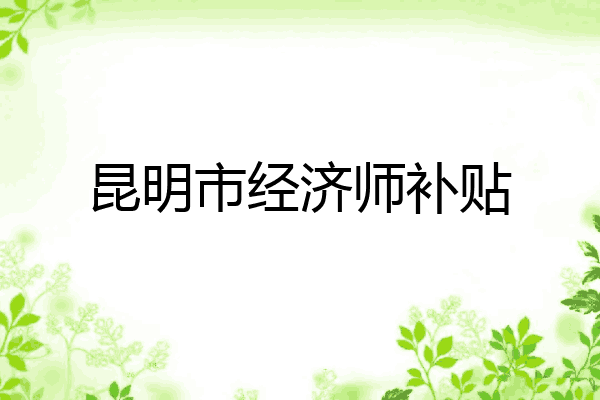 昆明市经济师补贴