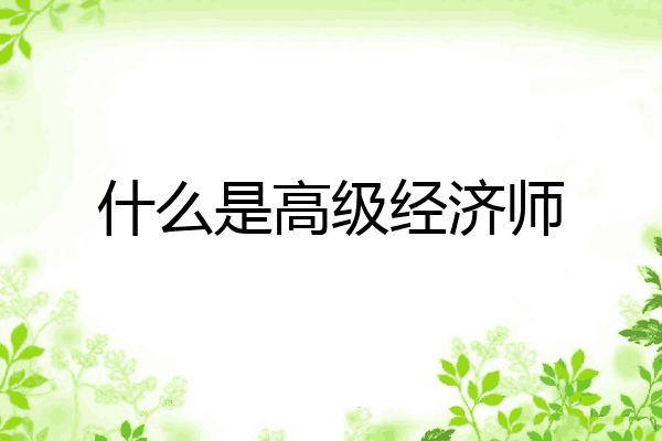 什么是高级经济师