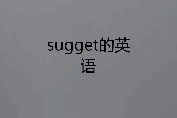 sugget的英语