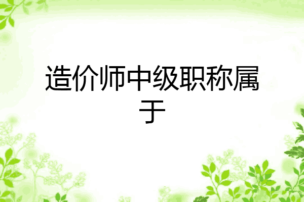 造价师中级职称属于