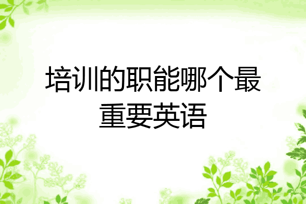 培训的职能哪个最重要英语