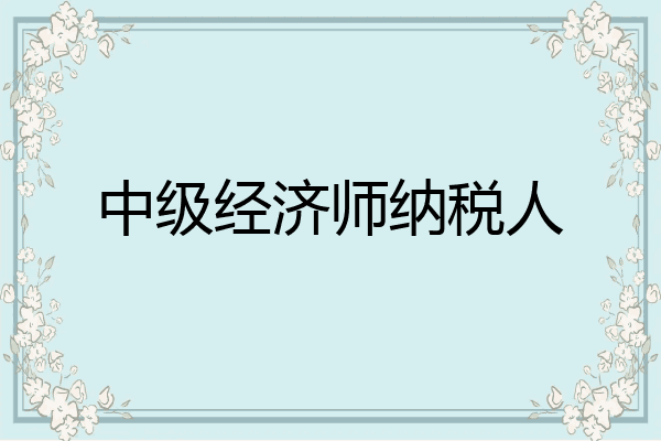 中级经济师纳税人
