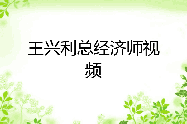 王兴利总经济师视频
