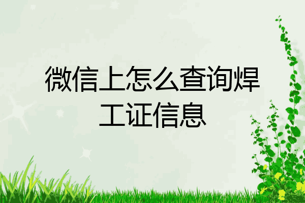 微信上怎么查询焊工证信息