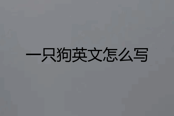 一只狗英文怎么写