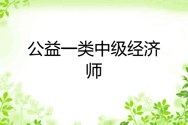 公益一类中级经济师