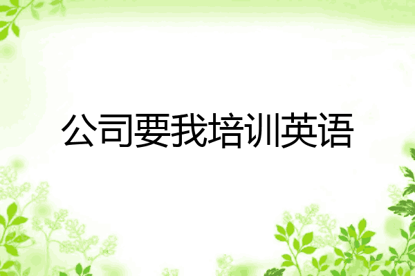 公司要我培训英语