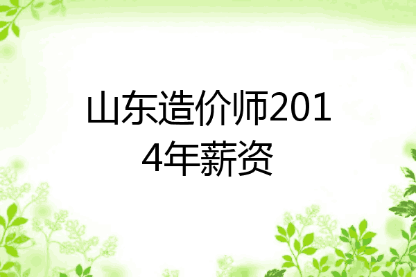 山东造价师2014年薪资