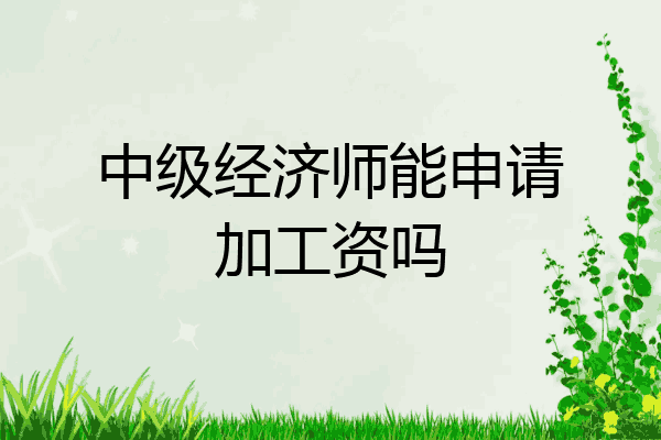 中级经济师能申请加工资吗
