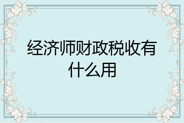 经济师财政税收有什么用