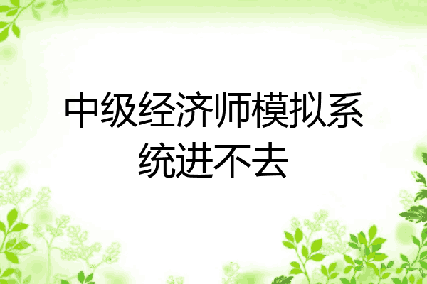 中级经济师模拟系统进不去