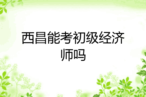西昌能考初级经济师吗