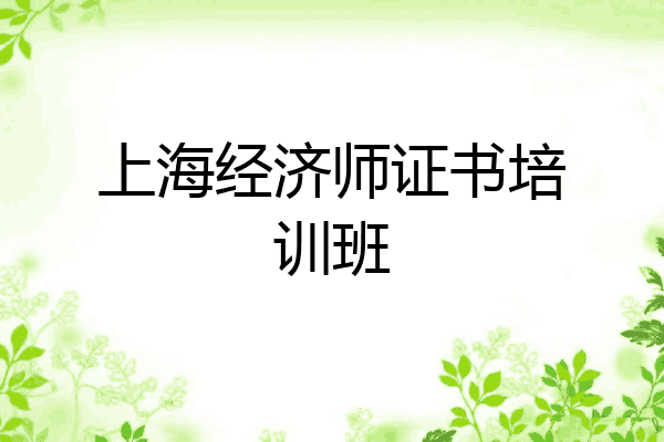 上海经济师证书培训班