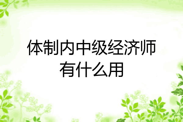 体制内中级经济师有什么用