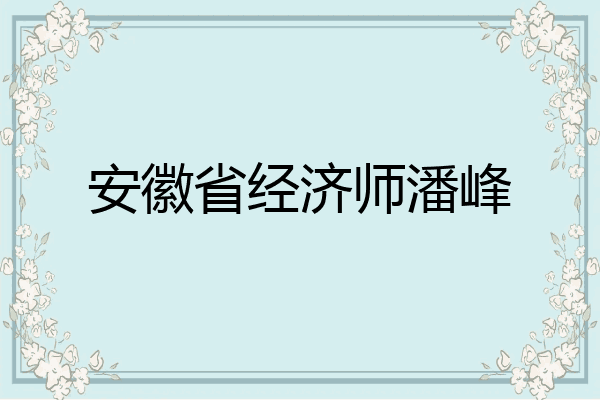 安徽省经济师潘峰