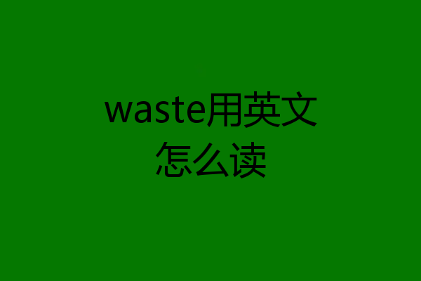 waste用英文怎么读