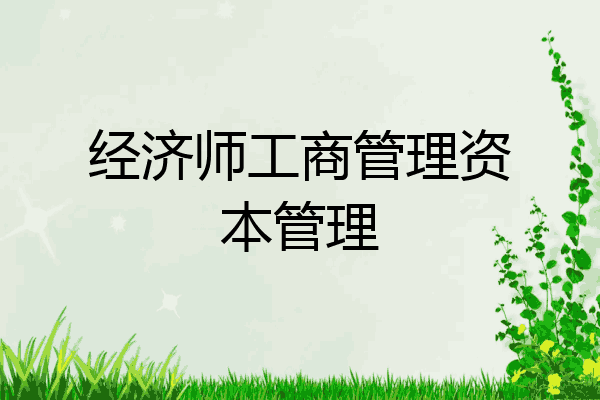 经济师工商管理资本管理
