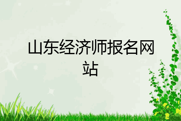 山东经济师报名网站