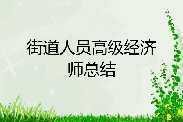 街道人员高级经济师总结