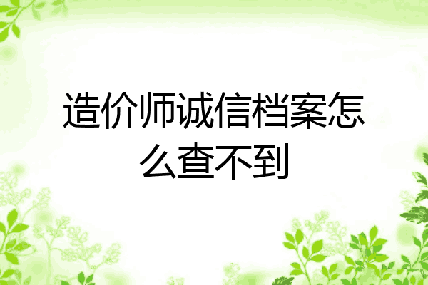 造价师诚信档案怎么查不到