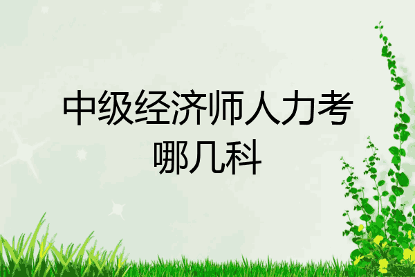 中级经济师人力考哪几科