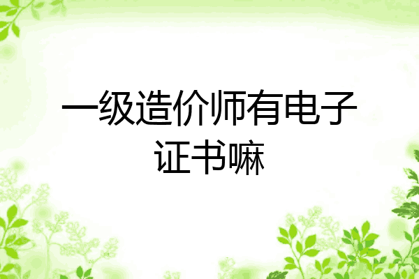 一级造价师有电子证书嘛