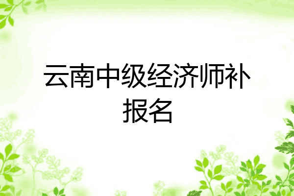 云南中级经济师补报名