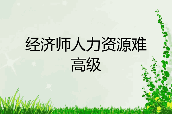 经济师人力资源难高级