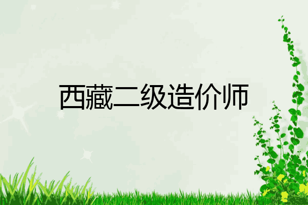 西藏二级造价师