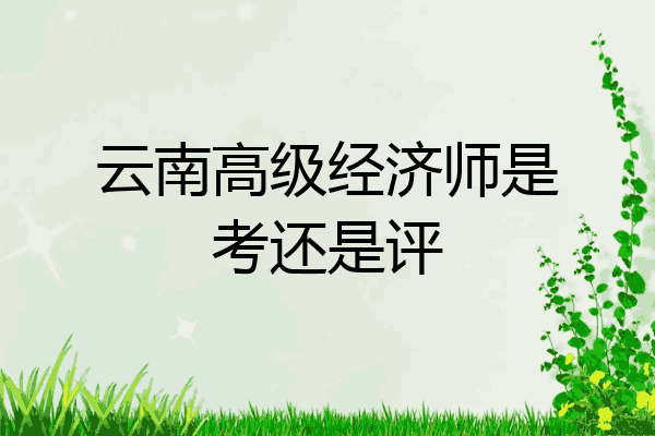 云南高级经济师是考还是评