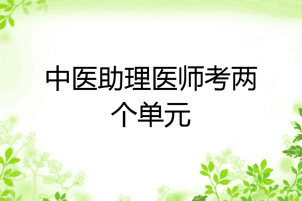 中医助理医师考两个单元