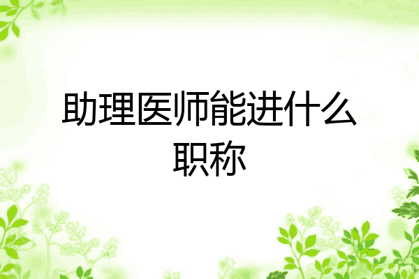 助理医师能进什么职称