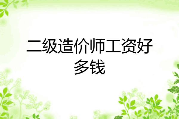 二级造价师工资好多钱