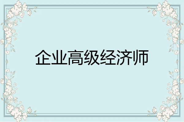 企业高级经济师