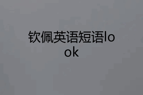 钦佩英语短语look