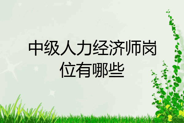 中级人力经济师岗位有哪些