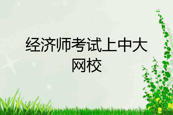 经济师考试上中大网校