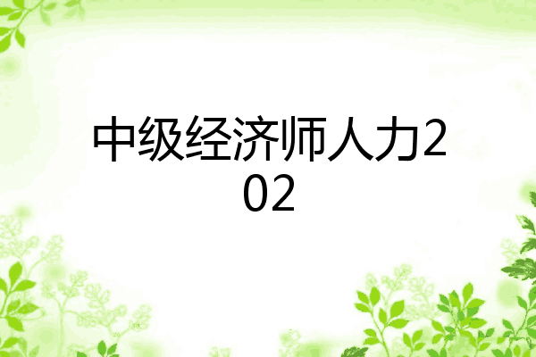 中级经济师人力202