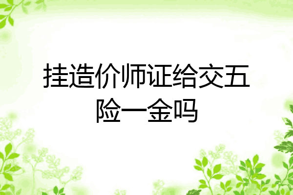挂造价师证给交五险一金吗